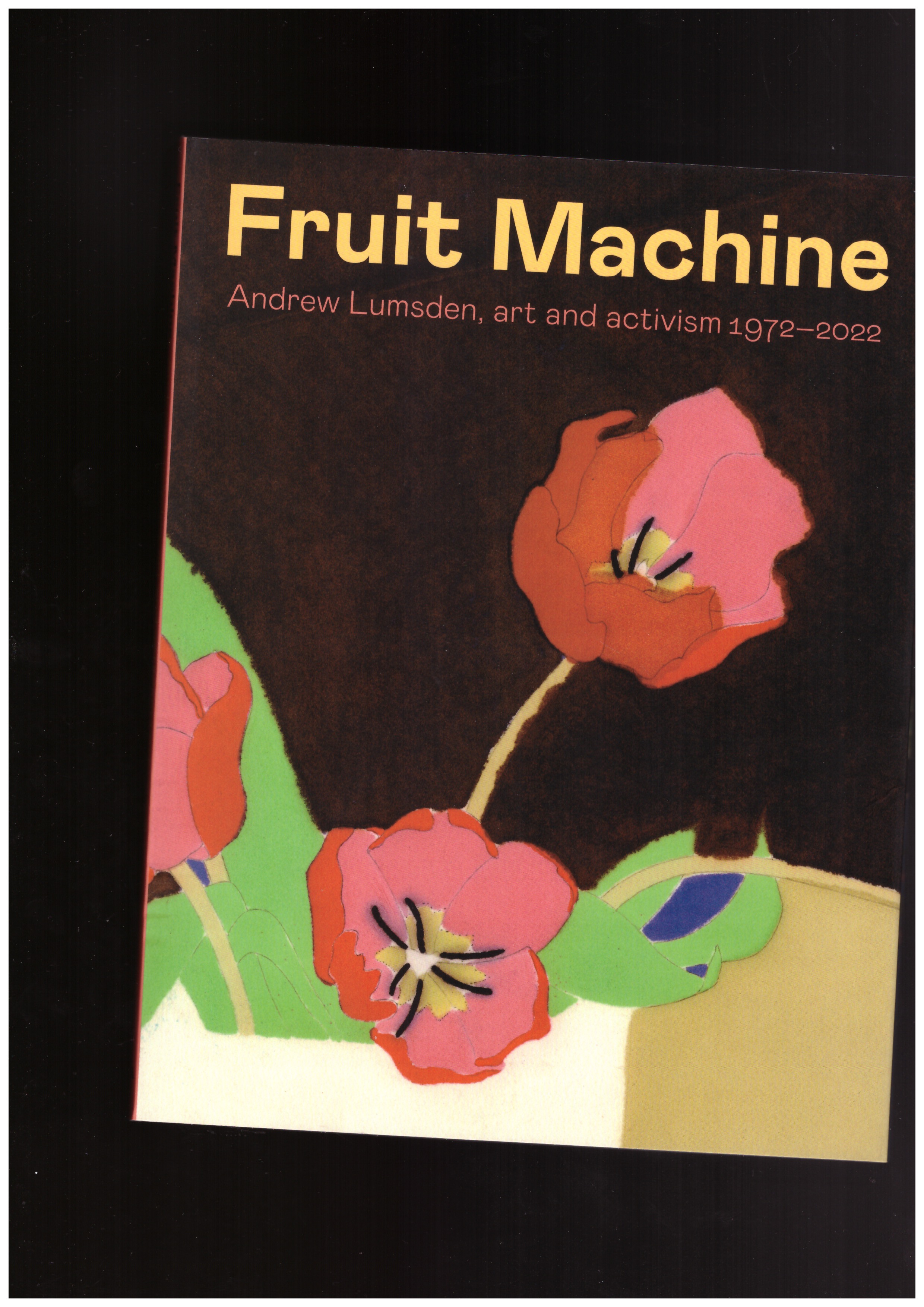 LUMSDEN, Andrrew - Fruit Machine. Andrew Lumsden, Art and Activism